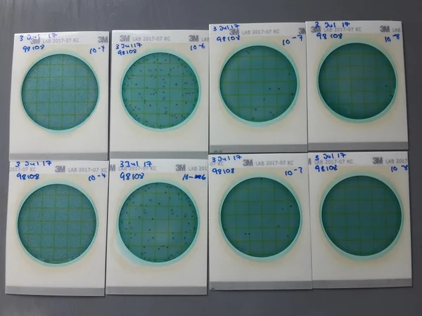 Pacific Lab Microbial Enumeration Test Meets International Standards